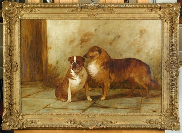 Study Of A Bulldog And A Collie Oil Painting - George Wright