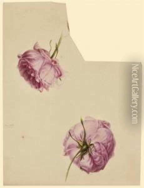 Deux Roses; Et Un Oeillet Fushia Oil Painting - Pancrace Bessa