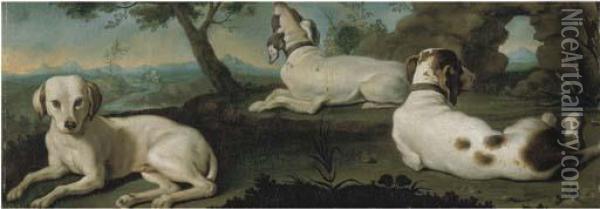 Tre Cani Da Caccia Oil Painting - Arcangelo Resani