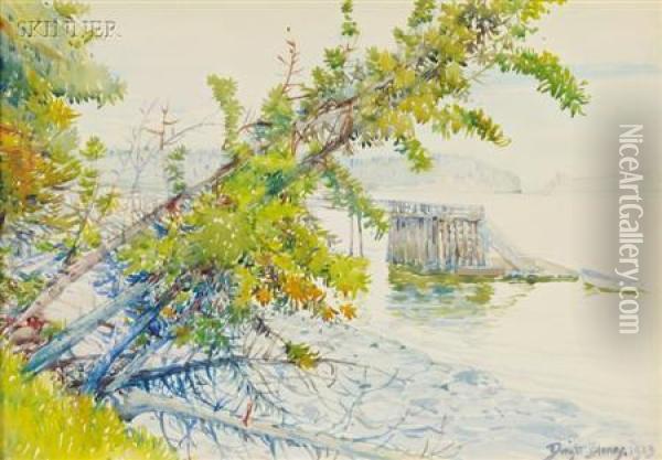 A View From Iron Bound Island Oil Painting - Dwight Blaney
