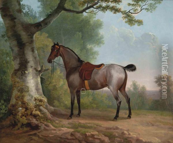 A Saddled Strawberry Roan Hunter Oil Painting - Sawrey Gilpin