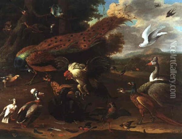 An Extensive Parkland With Numerous Birds, Including A Cockerel Swooping On A Raven, Peacocks, A Peahen, An Owl, A Jay, A Kestrel, A Goose, Bullfinches, Crested Cranes And A Flamingo Beyond Oil Painting - Pieter Casteels III