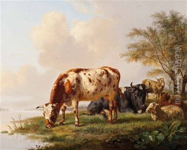 Cows And Sheep Along The Water's Edge Oil Painting - Pieter Gerardus Van Os