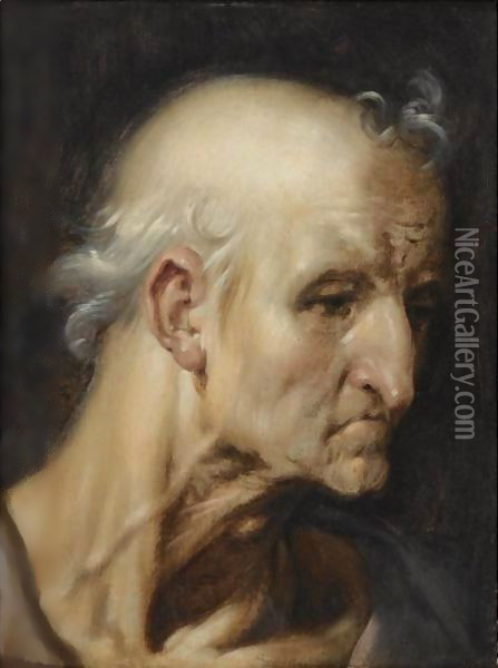 Study Of The Head Of An Old Man Oil Painting - Cornelis Cornelisz Van Haarlem