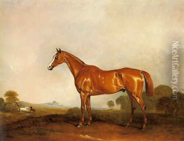 A Chestnut Hunter in a Landscape Oil Painting - John Snr Ferneley