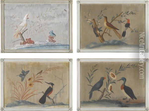 A Set Of Four Paintings Showing Exotic Birds In Landscapes Oil Painting - Carlo Antonio Raineri