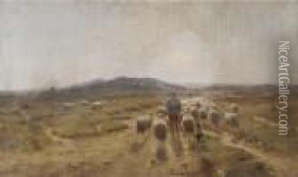 Leading The Sheep Over The Heath Oil Painting - Cornelis I Westerbeek
