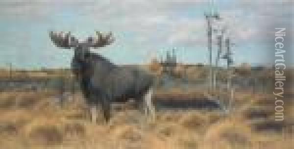 Elks In A Swedish Landscape Oil Painting - Wilhelm Kuhnert