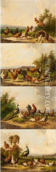 Landscapes With Peacocks And Chickens Oil Painting - Albertus Verhoesen