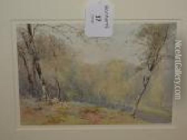 A Forest Landscape Oil Painting - Paul Jacob Naftel