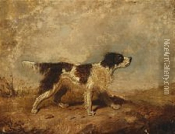Snarling Dog Oil Painting - Martin Theodore Ward