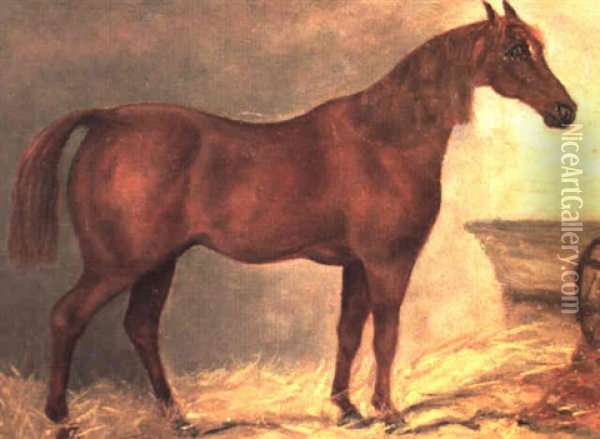 Chsetnut Hunter In A Loose Box Oil Painting - Harry Hall