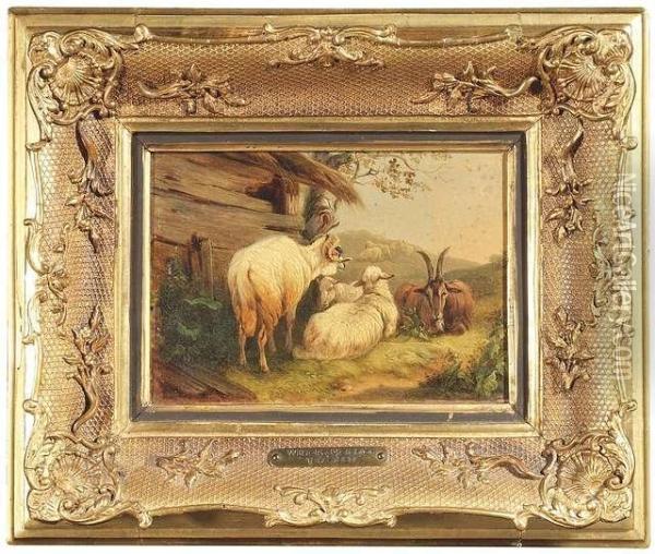 Resting Flock Of Sheep At A Woodshep Oil Painting - Wilhelm Melchior