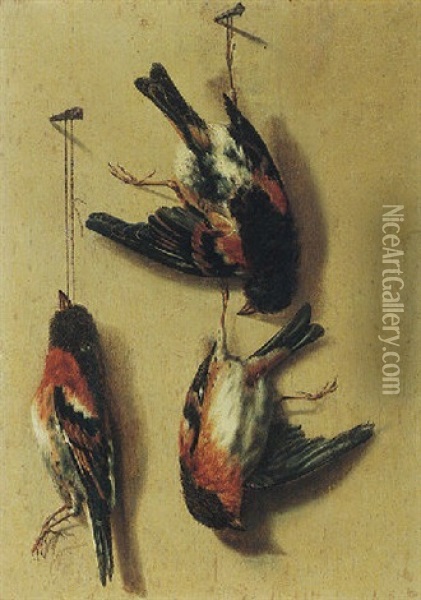 Still Life Of Song Birds Oil Painting - William Gowe Ferguson