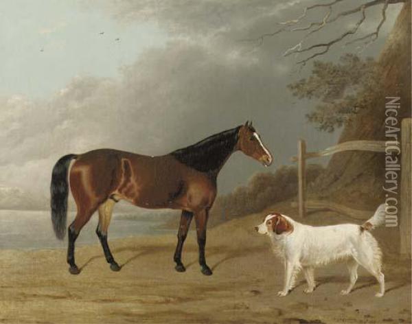 A Bay Hunter With A Dog By A Fence Oil Painting - Edwin, Beccles Of Cooper