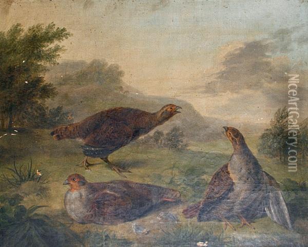 Three Game Birds Oil Painting - Abel Hold