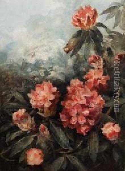 Study Of Rhododendrons Oil Painting - Eloise Harriet Stannard