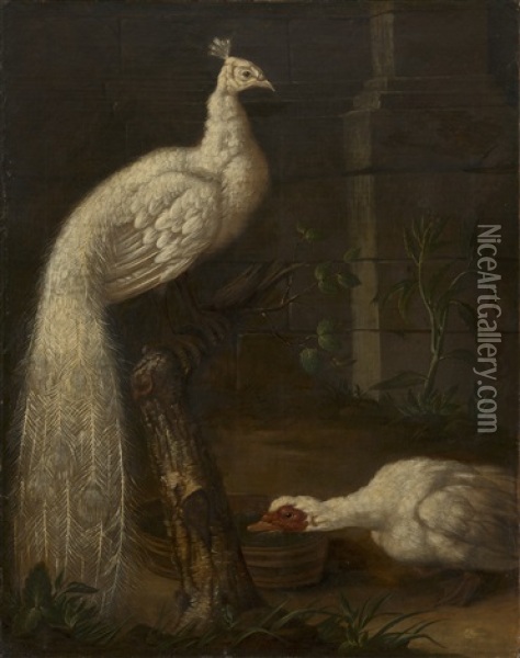 A Goose And A White Peacock Oil Painting - Johann Friedrich Grooth