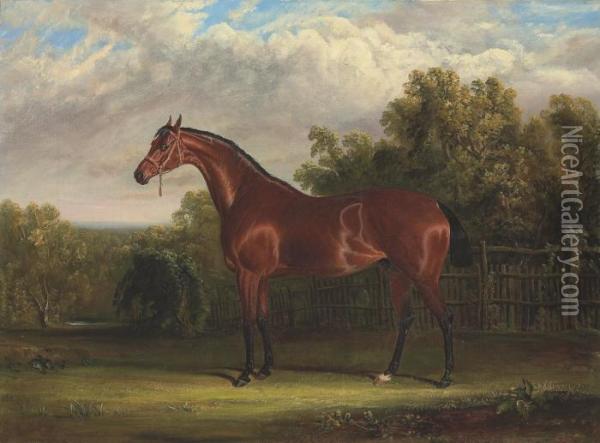 Negotiator, A Bay Racehorse In A Landscape Oil Painting - John Frederick Herring Snr