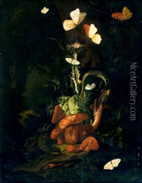 Nature Morte, Insectes Et Papillons Oil Painting - Otto Marseus van Schrieck