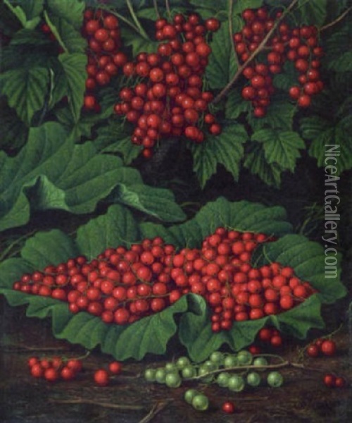 Red Currants On The Forest Floor Oil Painting - Levi Wells Prentice