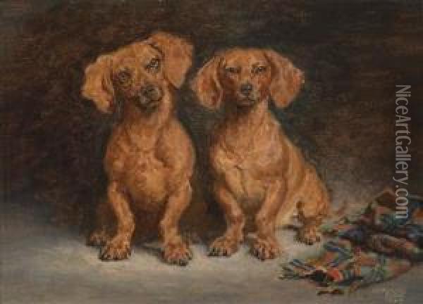 The Pairof Dachshunds Oil Painting - Alexander Pock