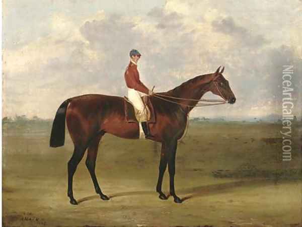 Amato, with jockey up Oil Painting - John Frederick Herring