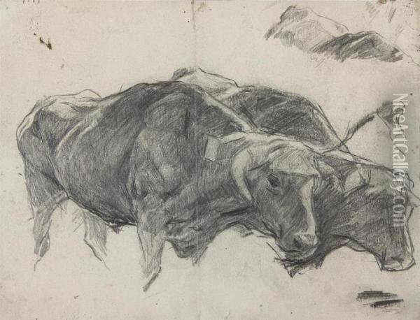 Two Bulls In Harness Oil Painting - Joaquin Sorolla Y Bastida