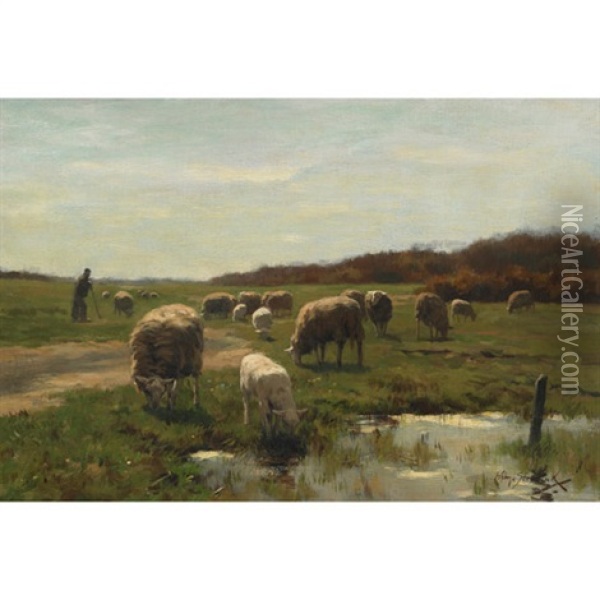Guarding The Flock Oil Painting - Willem Steelink