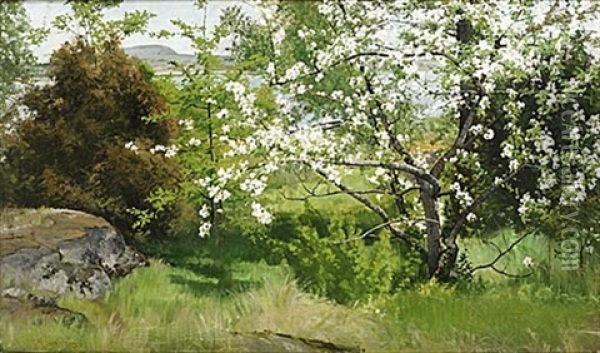 Blommande Frukttrad Oil Painting - Arvid Mauritz Lindstroem