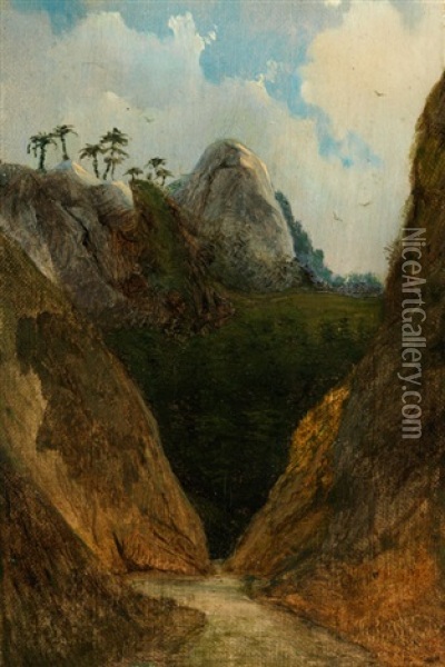 Blick In Eine Brasilianische Bergschlucht Oil Painting - Thomas Ender