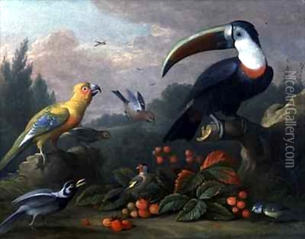 Toucan with Other Birds Oil Painting - Giovanni Boggi