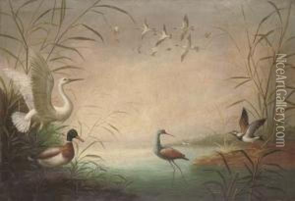 Waterfowl On The Banks Of A Lake Oil Painting - Marmaduke Cradock