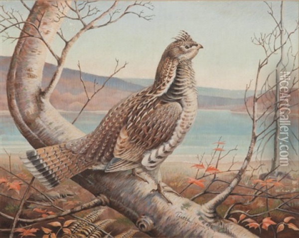 Grouse Oil Painting - Henry Emerson Tuttle