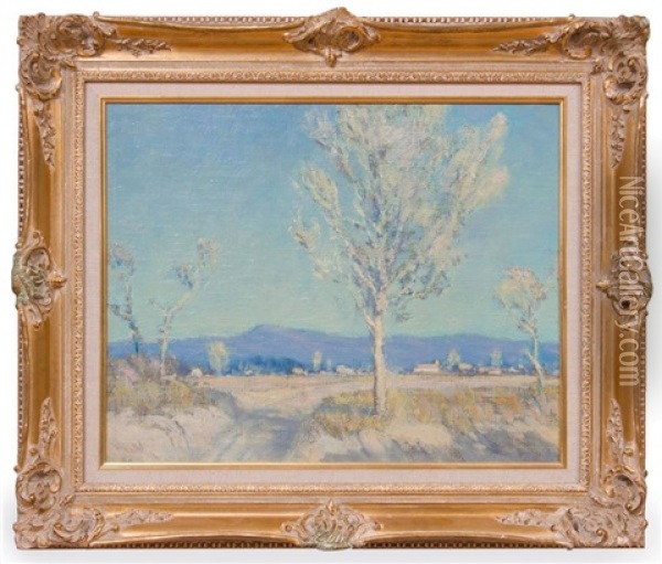 Tuscan Desert Oil Painting - William Posey Silva