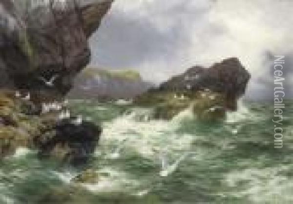 Lonely Sea Cliffs Where The Gannet Finds A Home Oil Painting - Peter Graham