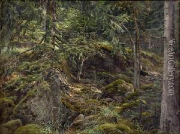 Metsansiimeksessa. Oil Painting - Berndt Adolf Lindholm