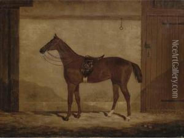 A Chestnut Hunter In A Stable Oil Painting - Samuel Spode