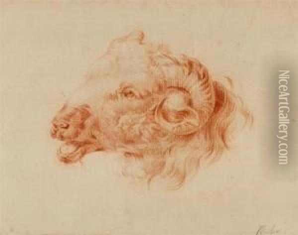 Ram's Head. Oil Painting - Franz Joseph Winter