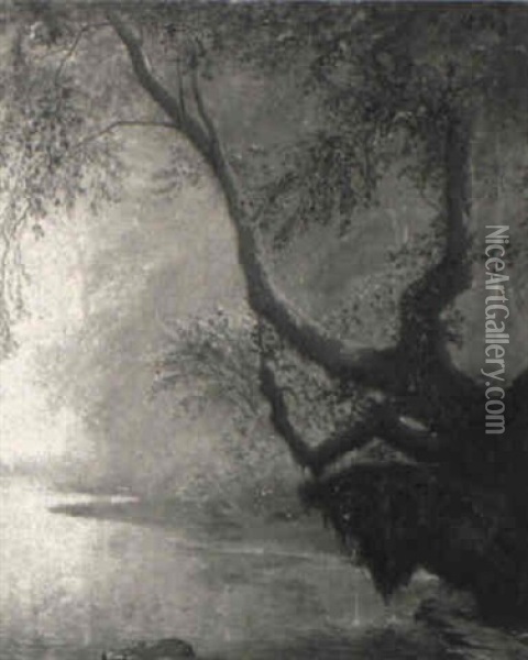 Knorriger Baum Vor Dunsterfullter Uferlandschaft Oil Painting - Charles Samuel Delapeine