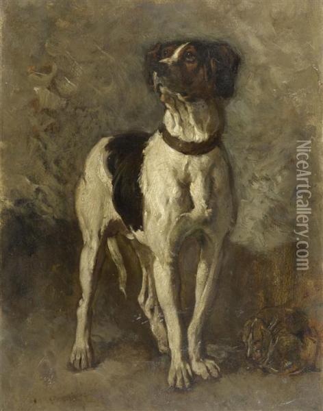 A Study Of A Hound Oil Painting - Leon-Charles Hermann