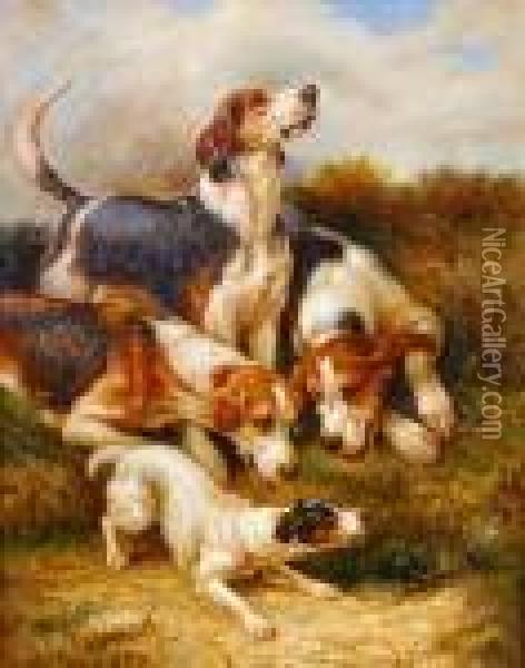 Fox Hounds And Jack Russell 'at The Earth' Oil Painting - John Emms