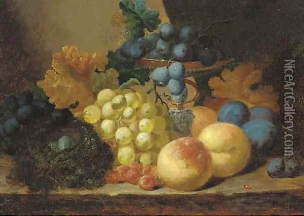 Grapes, peaches and a bird's nest on a ledge Oil Painting - Edward Ladell