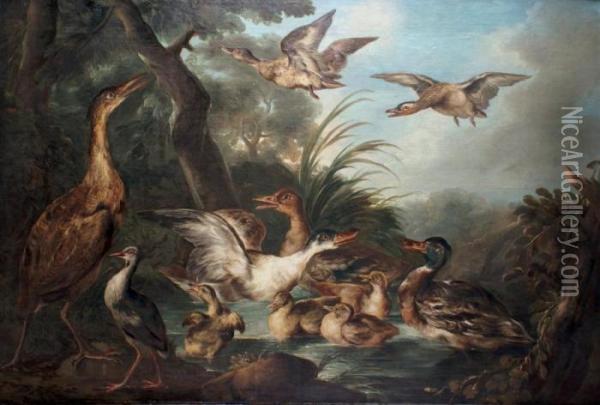 Canards Et Volatiles Dans Une Marre Oil Painting - Angelo Maria Crivelli, Il Crivellone