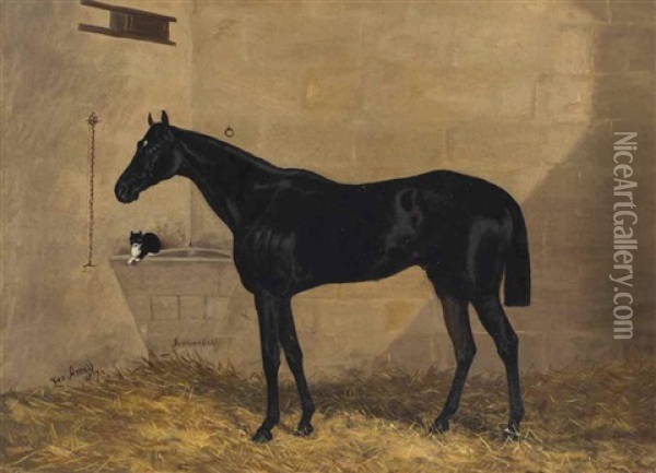 Cheval De Course Noir Et Chat Noir Et Blanc Dans Un Box Oil Painting - George Arnull