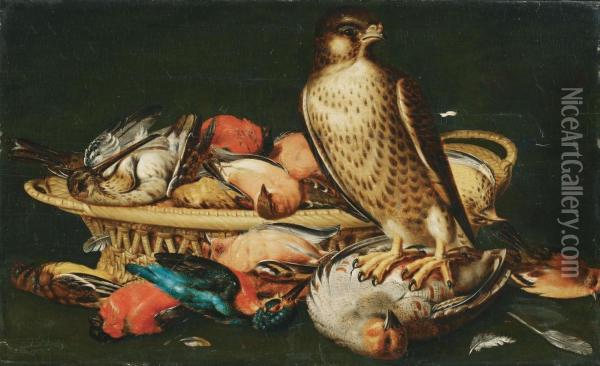 Stillleben Mit Vogeln Und Einem Falken Oil Painting - Nicolaes Cave