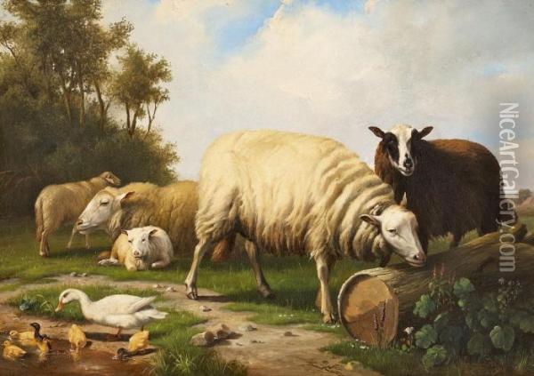 Schafe Und Enten Auf Der Weide Oil Painting - Eugene Joseph Verboeckhoven