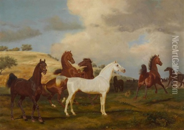 Pferde Mit Einem Schimmel Auf Der Koppel Oil Painting - Friedrich Anton Kilp