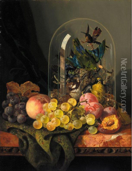 Still Life With Exotic Birds And Fruit Oil Painting - Ellen Ladell