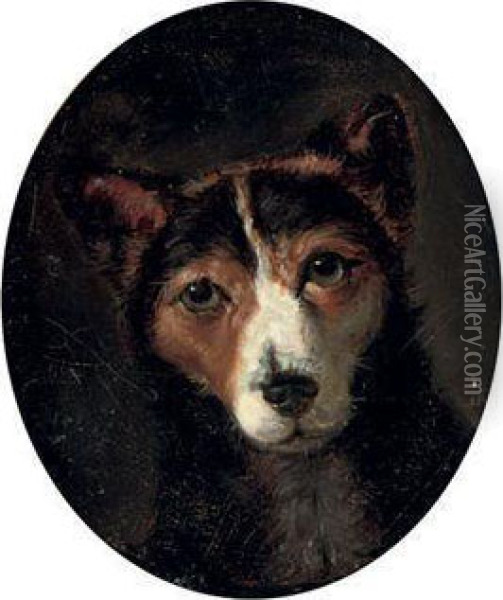 A Favourite Terrier Oil Painting - Samuel Raven